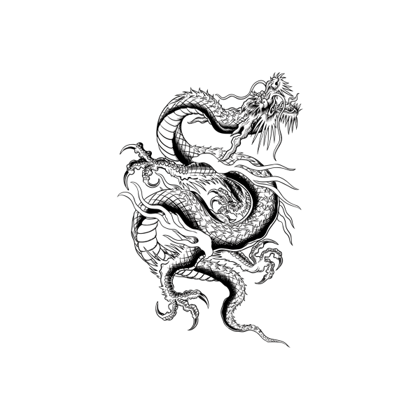 Autocollant / Sticker Dragon